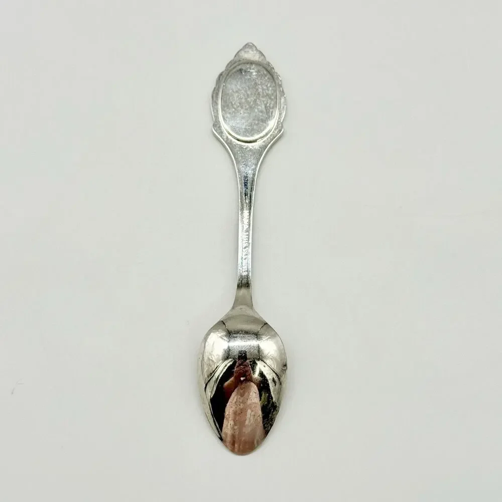 Minnesota Zoo Stainless Steel Silver Japan Vintage Souvenir Spoon 5